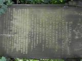 image of grave number 617235